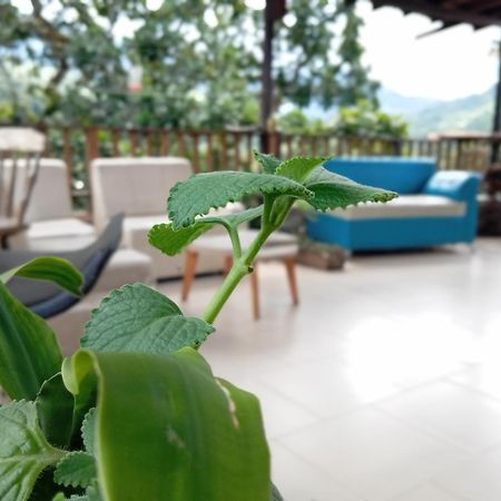 Hostal Los Wichos Minca Extérieur photo